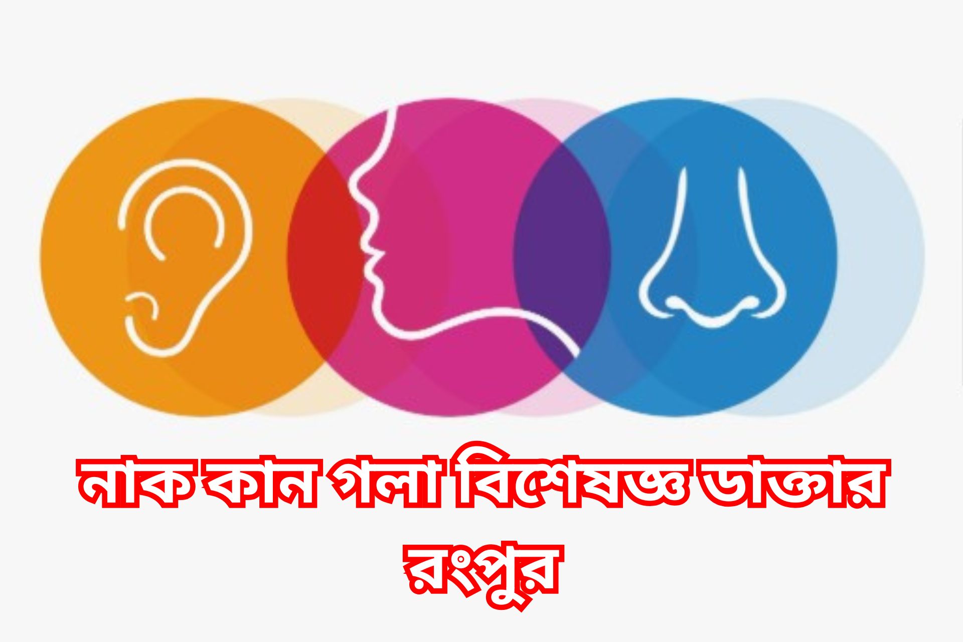 নাক কান গলা বিশেষজ্ঞ ডাক্তার রংপুর।
